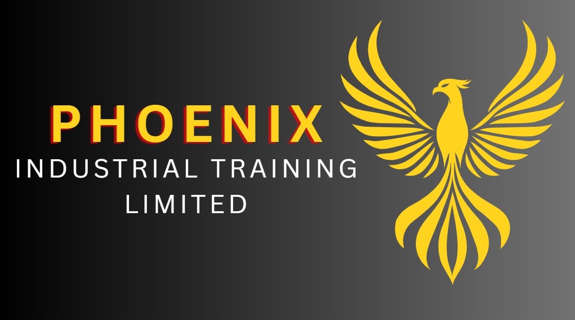 phoenix slide out logo